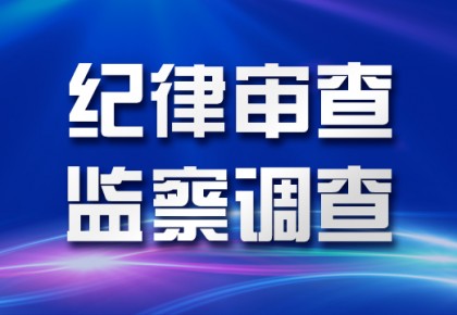 審查調(diào)查 審查調(diào)查