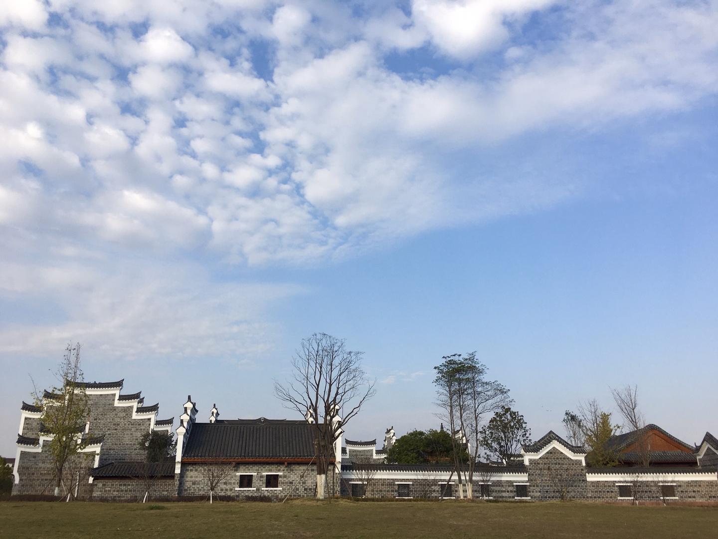 三八賞春正當時，衡陽東洲好風景